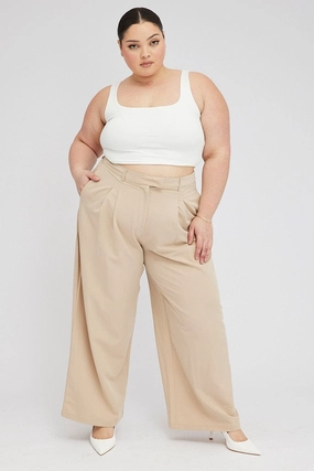 Ultra Soft Texture Beige Wide Leg Pants Tailored