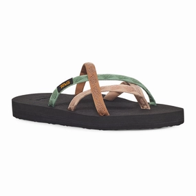 Teva Women's Olowahu Flip - Mixed B Maple Sugar Multi Light Arch Easy Step