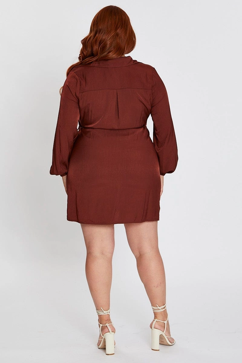 Glossy Fabric Brown Long Sleeve Tie Waist Shirtdress