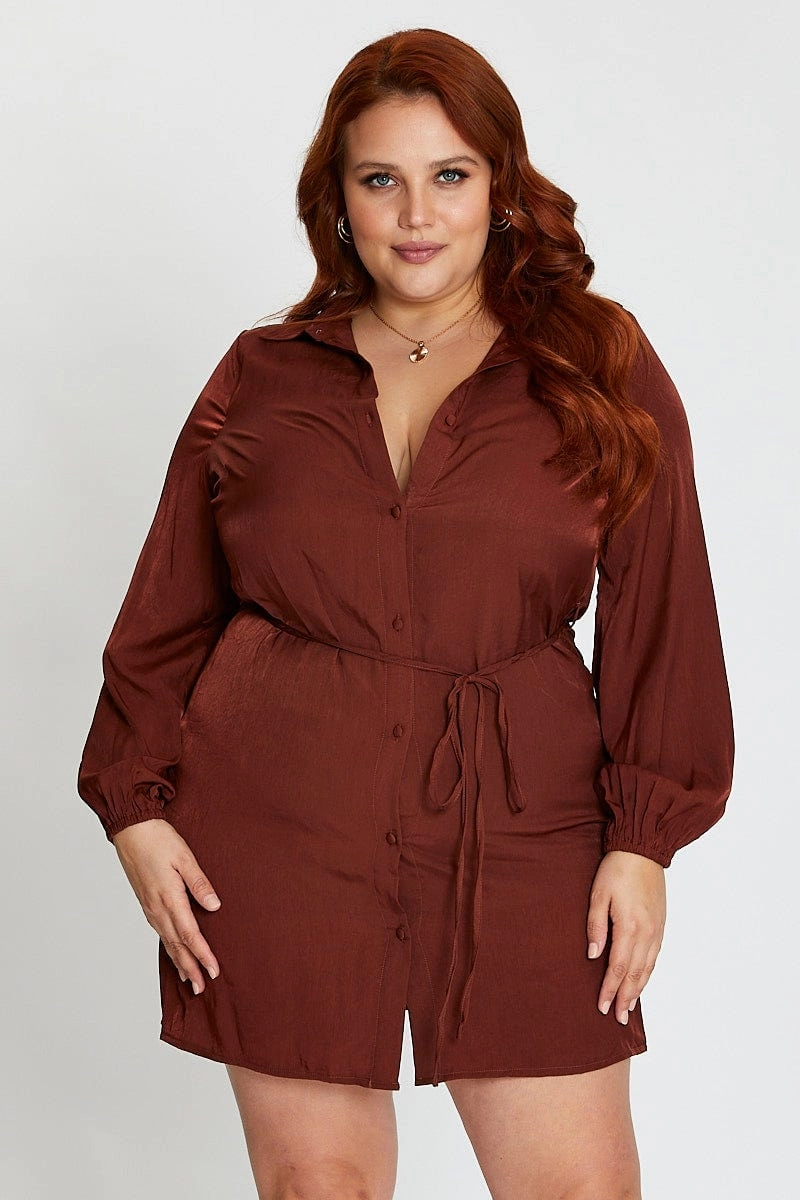 A-Line Brown Long Sleeve Tie Waist Shirtdress