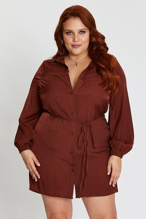 A-Line Brown Long Sleeve Tie Waist Shirtdress