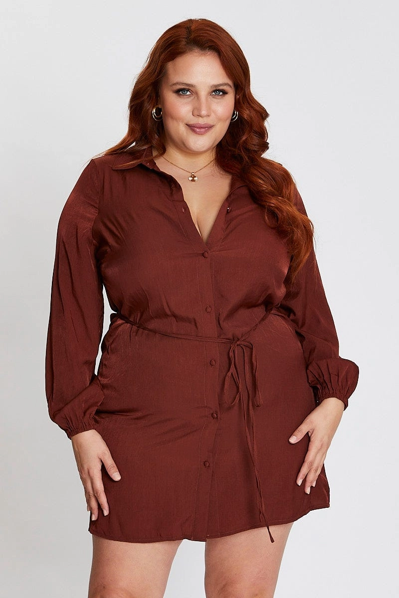 Brown Long Sleeve Tie Waist Shirtdress Perfectly Fit Look