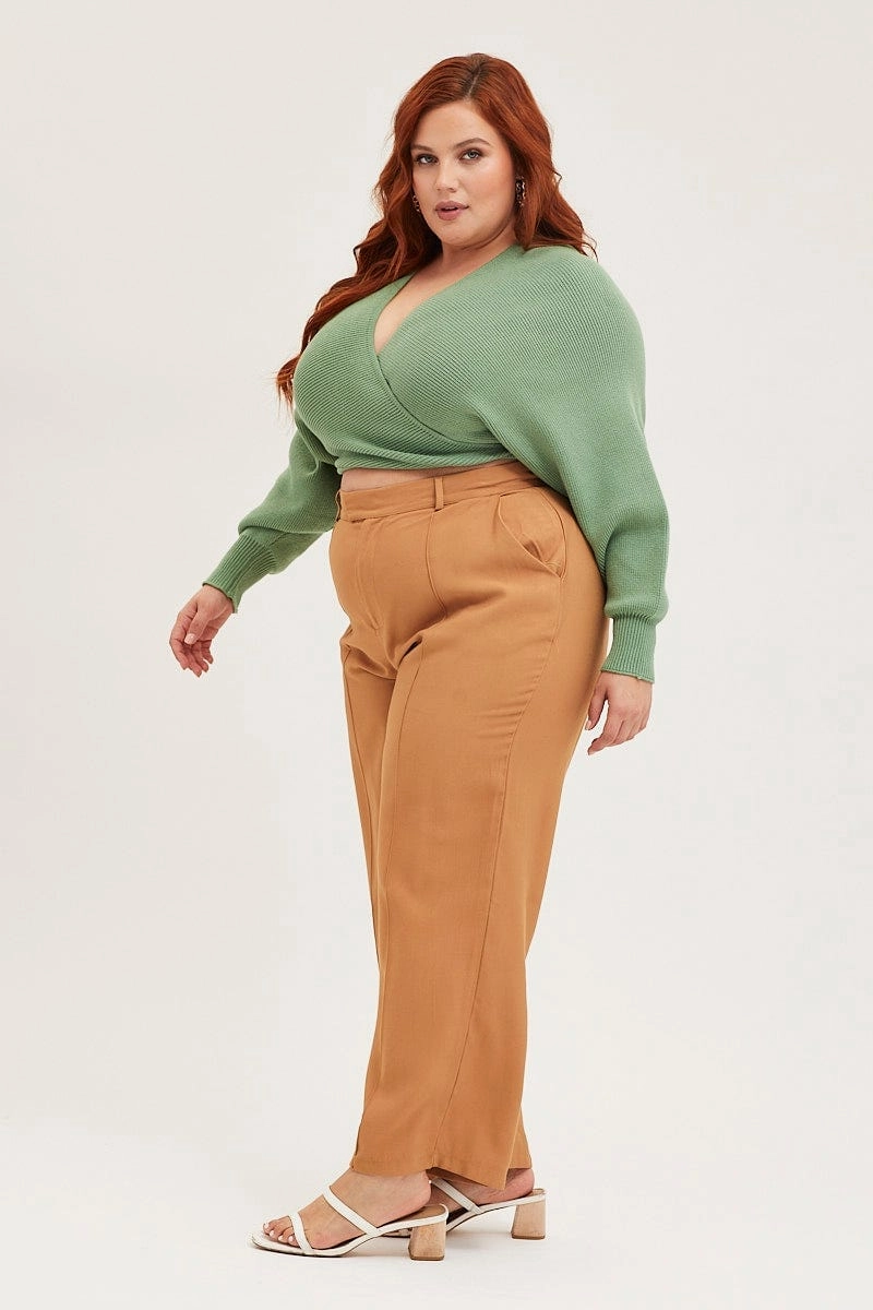 Brown Wide Leg Pants High Rise Seam Front Day To Night