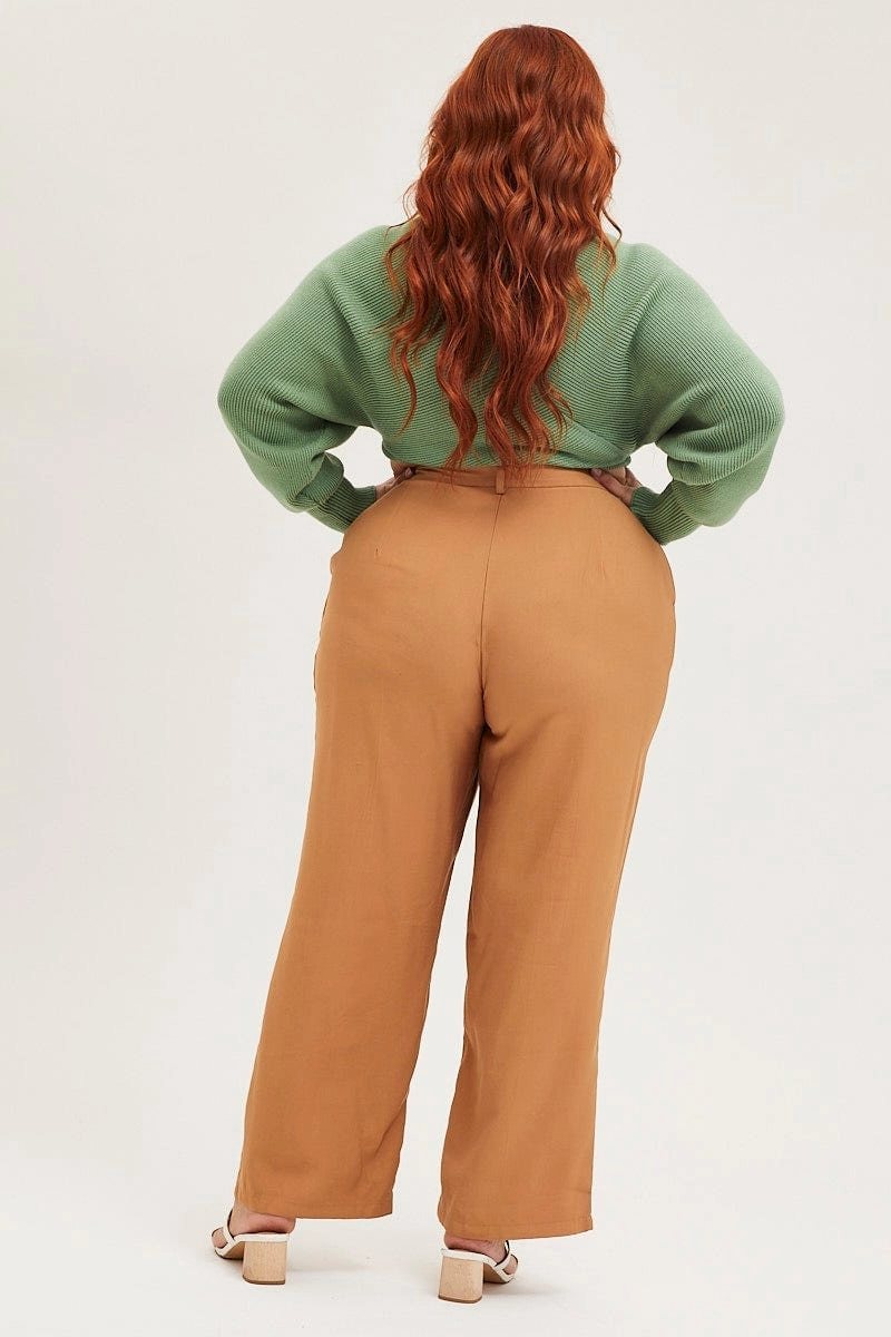 Friction Resistant Fabric Brown Wide Leg Pants High Rise Seam Front