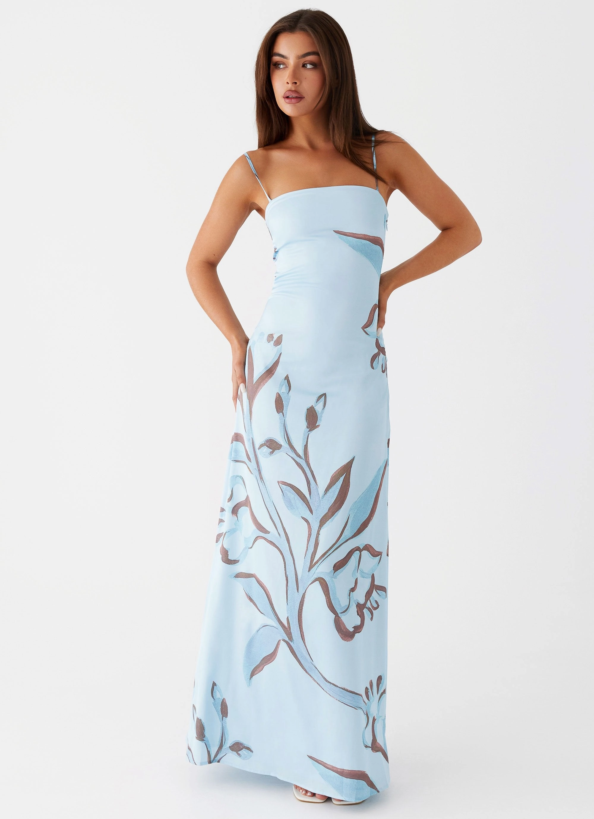 All-day style Aster Bloom Maxi Dress - Blue Floral