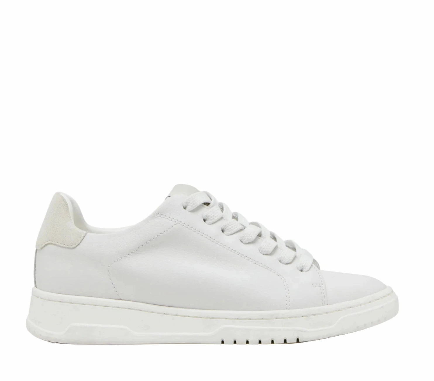 Women's Elsin Sneakers - White Urban Sport
