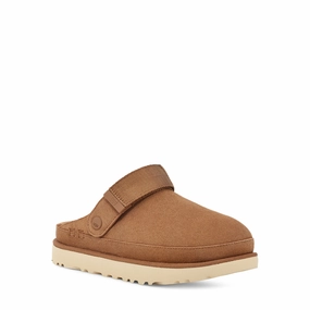 UGG? Women's Goldenstar Clog - Chestnut on the road Morning Walk