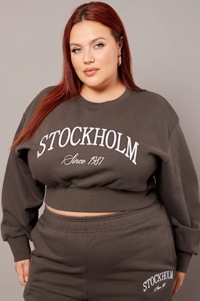 Daily Fit Grey Oversized Sweater Long Sleeve Crew Neck Crop